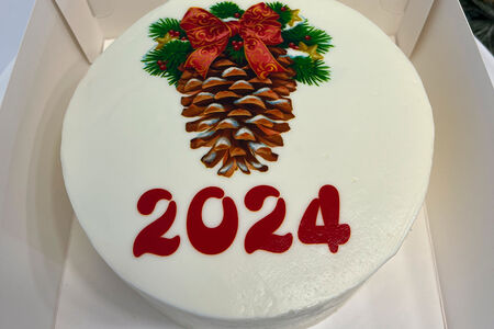 Бенто-торт с шишкой 2024