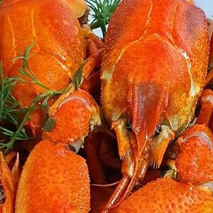 Խեցգետին խոշոր