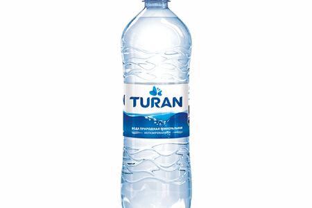 Turan негазированная