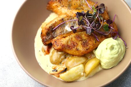 Волжский судак