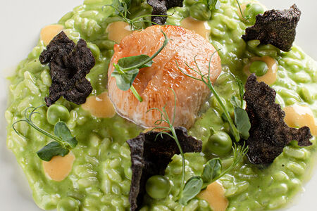 Ризотто с гребешком и зеленым горошком