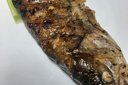 Форель радужная на мангале