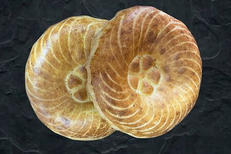 Узбекская лепешка