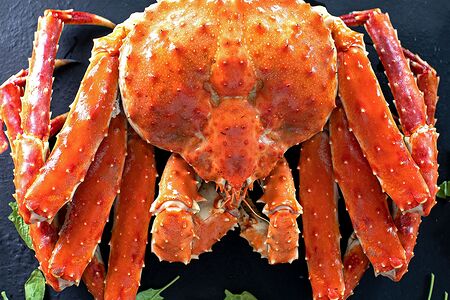 Конечности Камчатского краба L2