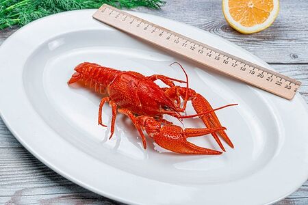 Раки севанские №4