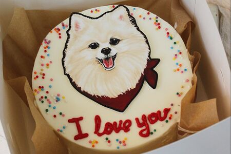 Бенто-торт с собачкой