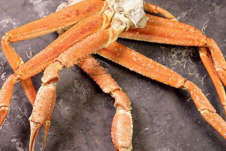 Конечности краба-стригуна Xl