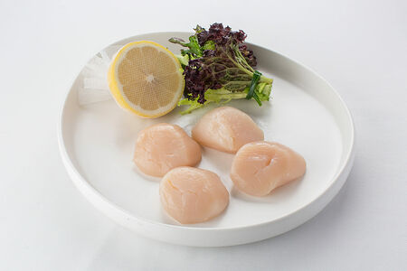 Морской гребешок