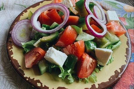 Днепряночка