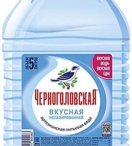 Вода природная Черноголовская 5л