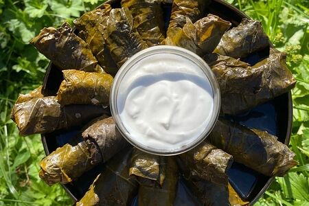 Долма с винoградными листами