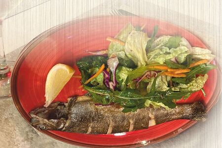 Форель радужная с миксом салатов