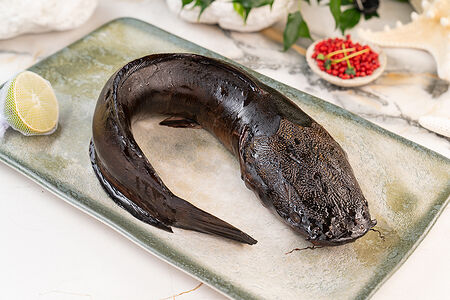 Фермерский сомик