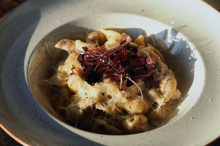 Конкильони с фермерским цыпленком