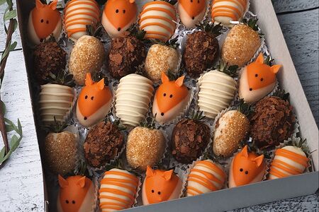 Набор Лисички