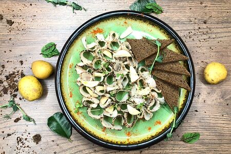 Сало с бородинским хлебом и чесноком