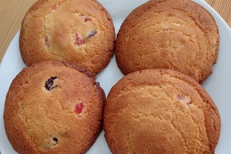 Печенье протеиновое с клюквой и вишней без глютена, без сахара