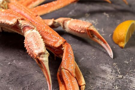 Конечности краба стригуна