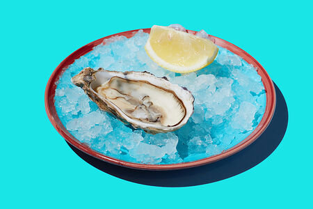 Устрица Фин де клер