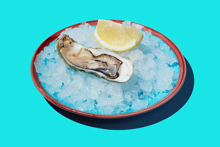 Устрица Императорская