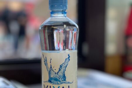 Вода Vival негазированная