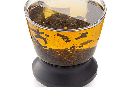 Иван чай медвежий