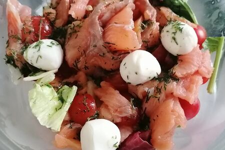 Салат с серебряным лососем и сыром моцарелла