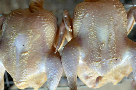 Курица Кабардинская