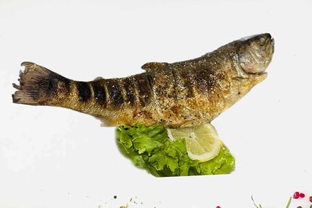 Дорадо на мангале