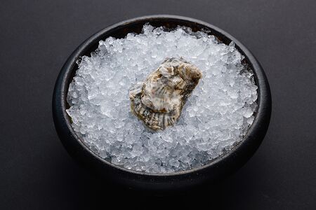 Устрица Люмьер