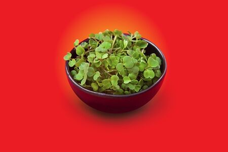 Микрозелень