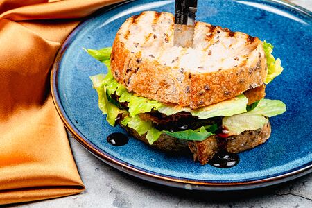 Тост с курицей кацу