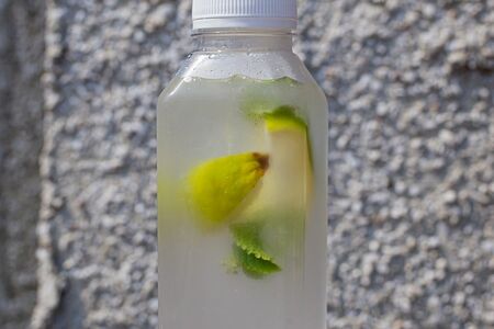 Лимонад мохито Колбасабар