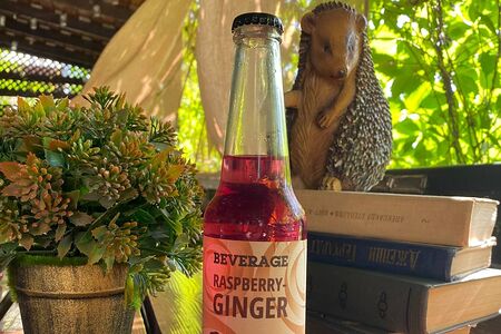 Beverage Тоник №3 Малина и имбирь