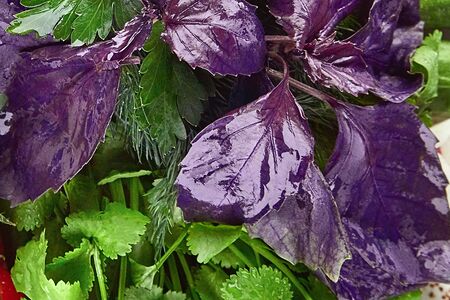 Ассорти из зелени