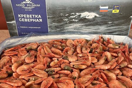 Креветка Северная 150