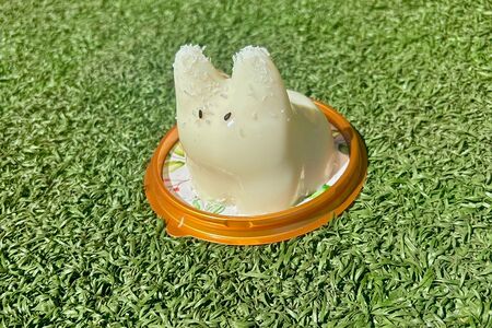 Танцующий котик - кокос