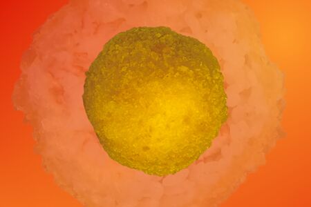 Аранчини Краб