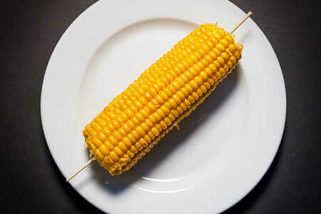 Кукуруза в початке
