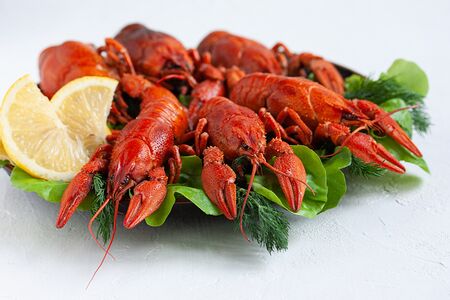 Раки вареные мелкие