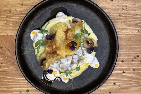 Meet строганов