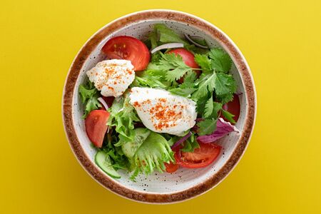 Панир расила