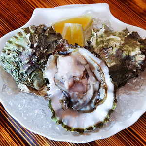 Устрица Хасанская второй категории