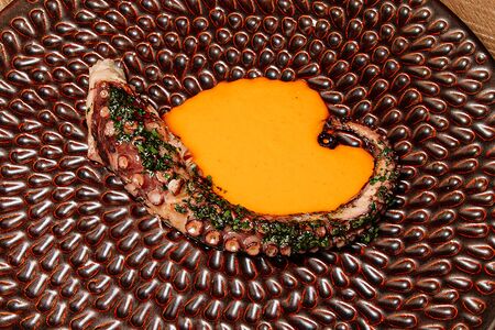 Осьминог робата, чимичурри