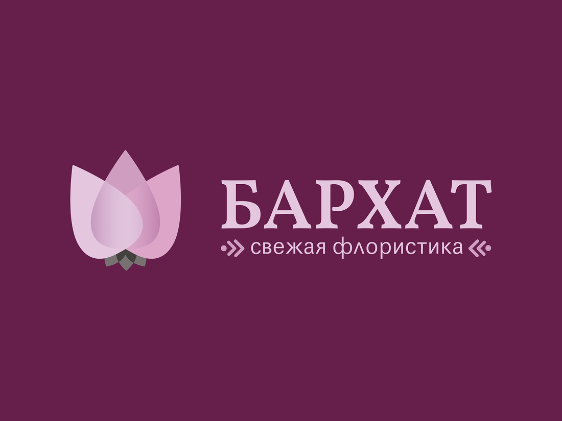 Студия бархат. Бархатный салон. Парикмахерская бархат Волгоград. Салон бархат Ижевск.