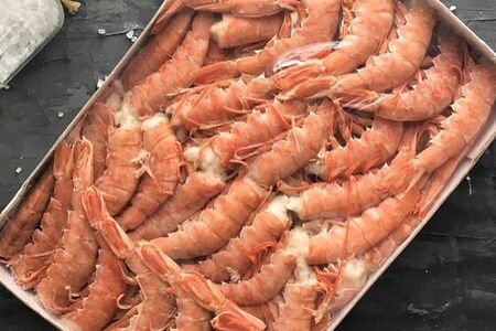 Лангустины крупные