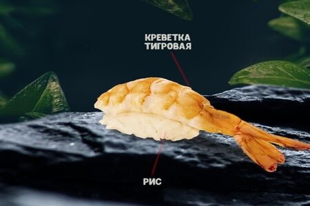 Суши с креветкой
