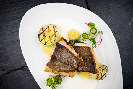 Синекорый палтус