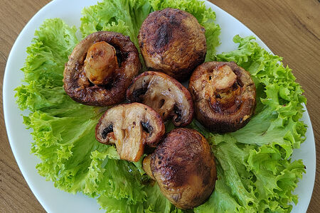 Грибы шампиньоны