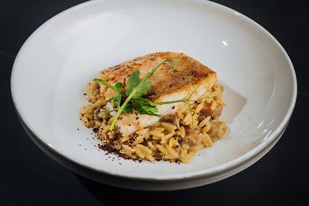 Филе судака с орзо и грибами